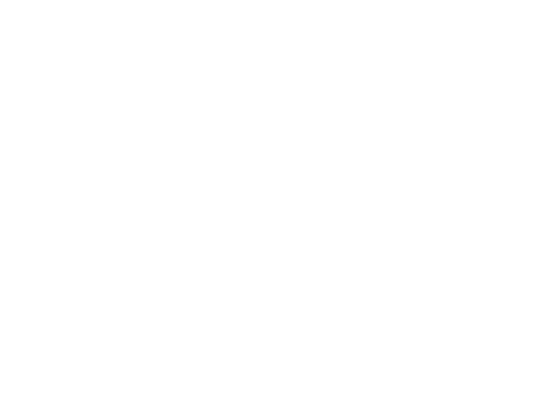 Biểu trưng PINA GROUP